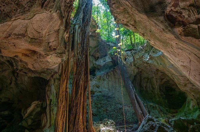 private-exploring-tour-in-green-grotto-caves-and-rafting-on-the-martha-brae