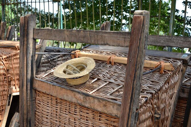 private-express-tuk-tuk-tour-funchal-old-town-toboggans-2