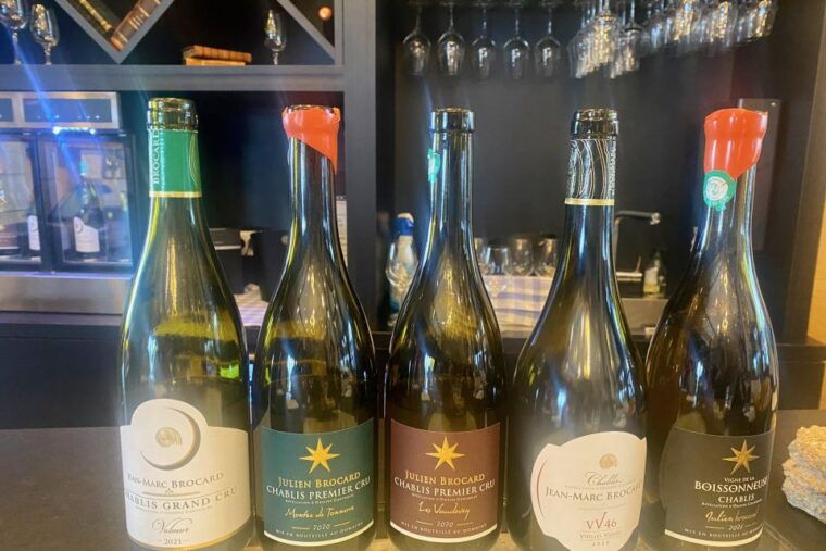 private-exquisite-red-white-burgundy-wines-trip-from-paris-2