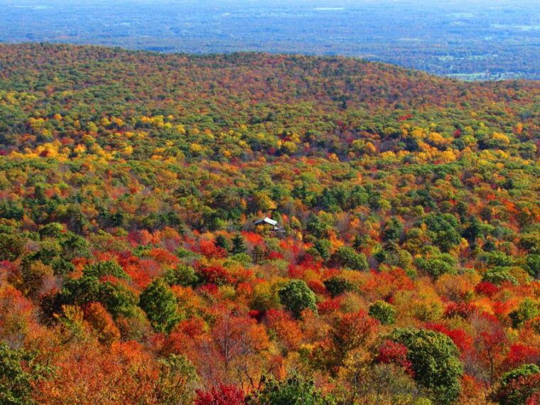 private-fall-foliage-helicopter-tour-of-the-hudson-valley