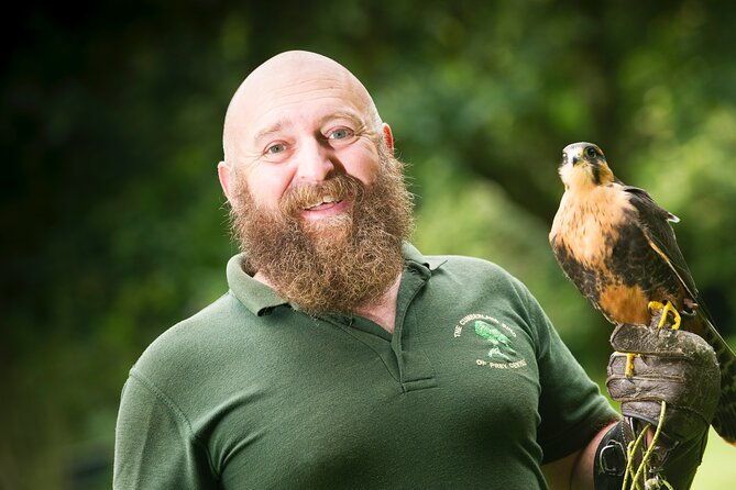 private-family-bird-of-prey-experience-in-carlisle