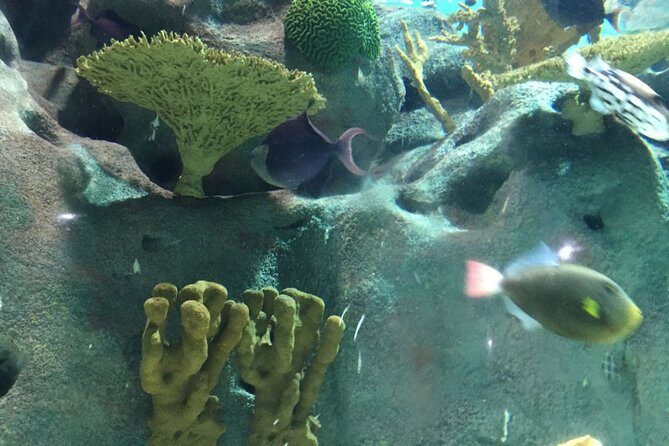 Private Family Day Tour in Guangzhou to Grandview Aquarium and Guangzhou Zoo - A Full Breakdown of the Tour Experience