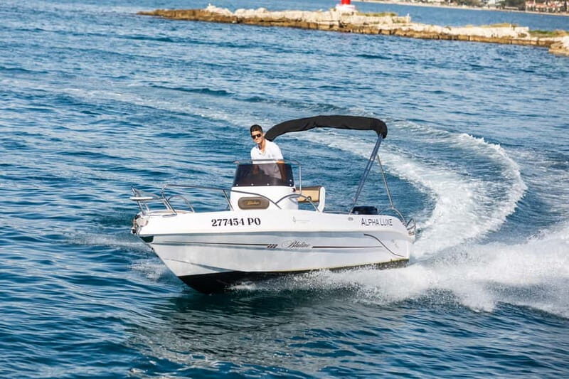 Private Family Dolphin Tour in Pore - What You Can Expect from the Dolphin Tour