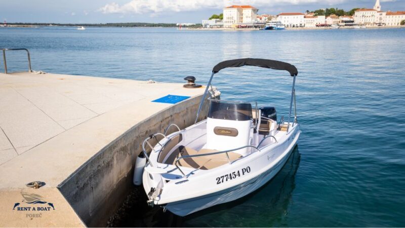 Private Family Dolphin Tour in Pore - Final Thoughts