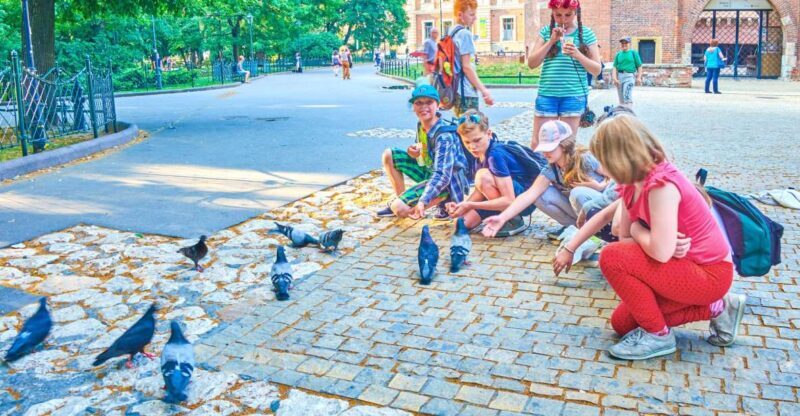 Private Family Tour of Krakow Old Town with Cruise Tickets - Considerations and Tips