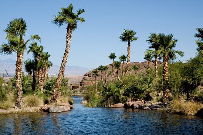 Private Fayyum Oasis Over day from Cairo, Egypt - Authentic Experiences and Practical Tips
