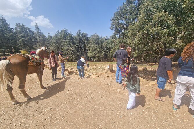 Private Fes to middle atlas with hiking in cedar forest - Explore the Beauty of Morocco’s Middle Atlas on a Private Fes to Cedar Forest Hike