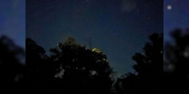 Private Firefly Watching Night Cruise on Bohol Abatan River - Final Thoughts