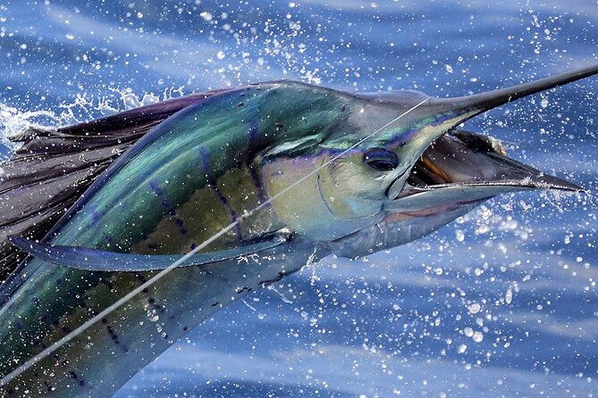 private-fishing-boat-cruising-charters-in-st-kitts-and-nevis