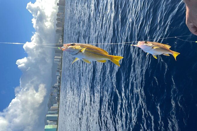 private-fishing-charter-for-family-and-friends-in-honolulu