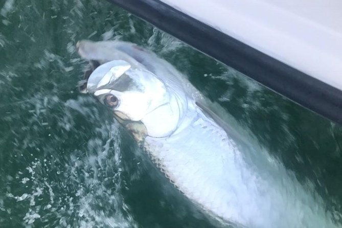 private-fishing-charter-from-ramrod-key