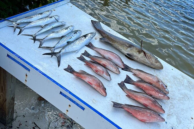 private-fishing-charter-in-tampa