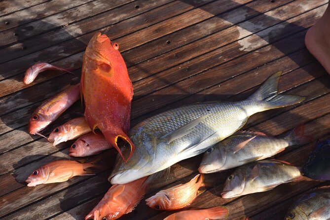 Private Fishing Day Boat With Equipment and Transfer  Hurghada - FAQ