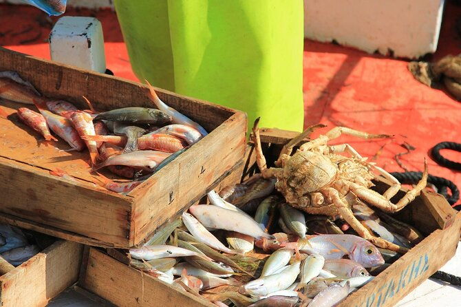 private-fishing-tour-from-athens-with-a-traditional-fishing-boat-2
