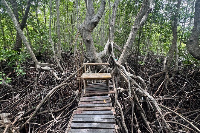 Private Fishing Trip to Koh Tan & Koh Madsum by Speedboat - Is It Good Value?