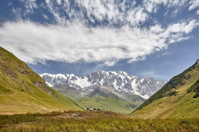 private-five-days-tour-to-svaneti-mestia-ushguli-bechochalaadi