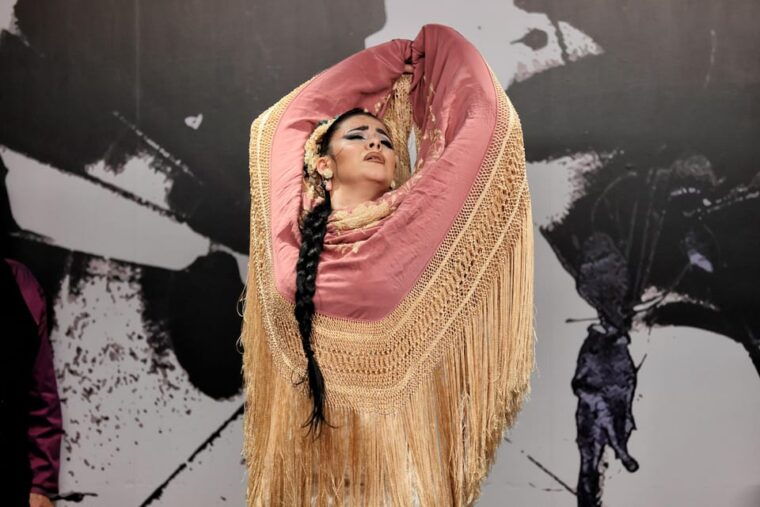 private-flamenco-show-in-the-center-of-seville-max-30-pax