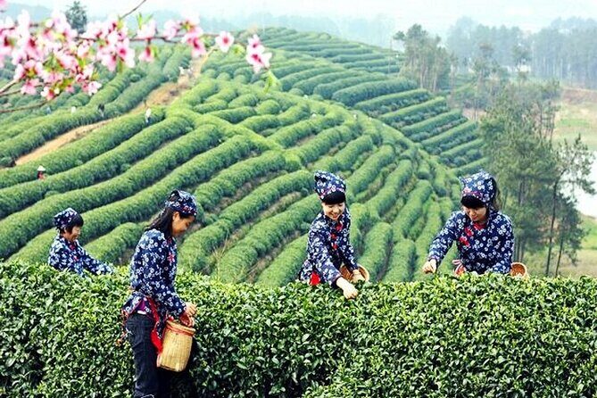 Private Flexible Hangzhou Layover Tour in Your Way - Key Points