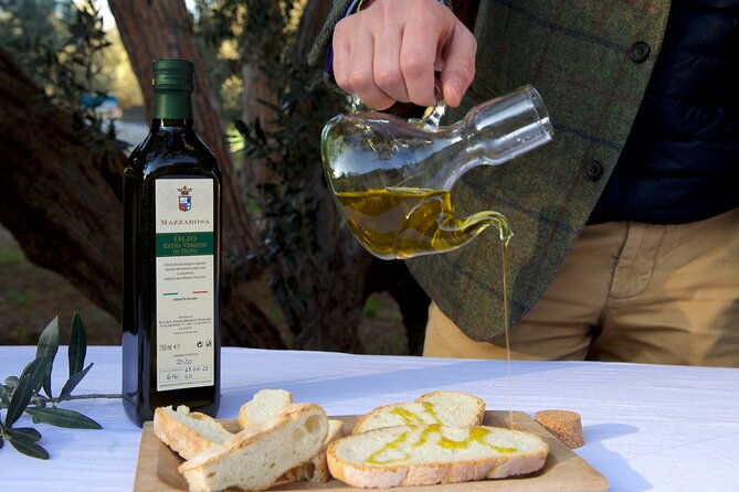 private-food-and-wine-tour-in-the-cellar-with-tastings