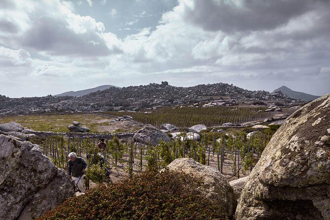 Private Food Tour & Wine Tasting In Tinos Island with a Local - Frequently Asked Questions