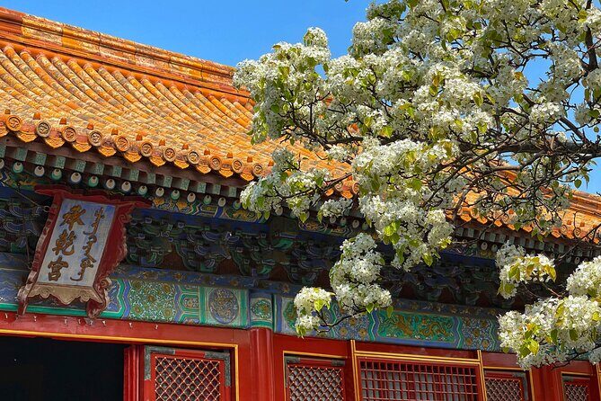 Private Forbidden City and Tiananmen with Summer Palace Tour - The Sum Up: Is It Worth It?