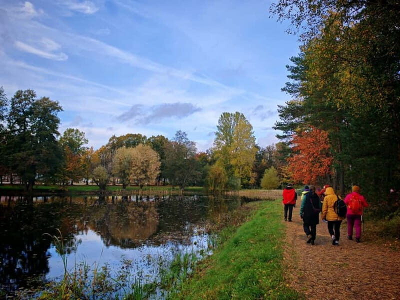 Private Forest Mind Tour in Tampere - Introducing the Forest Mind Tour in Tampere