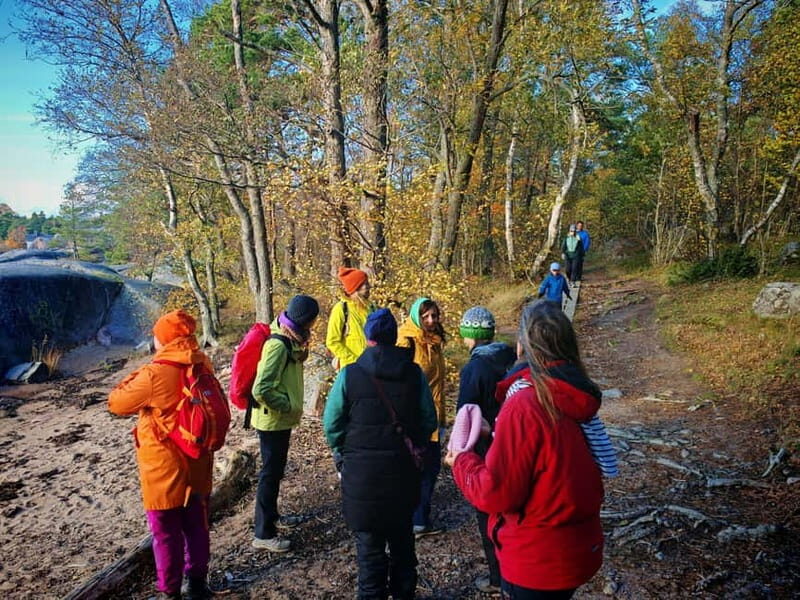 Private Forest Mind Tour in Tampere - The Meeting Point and Accessibility
