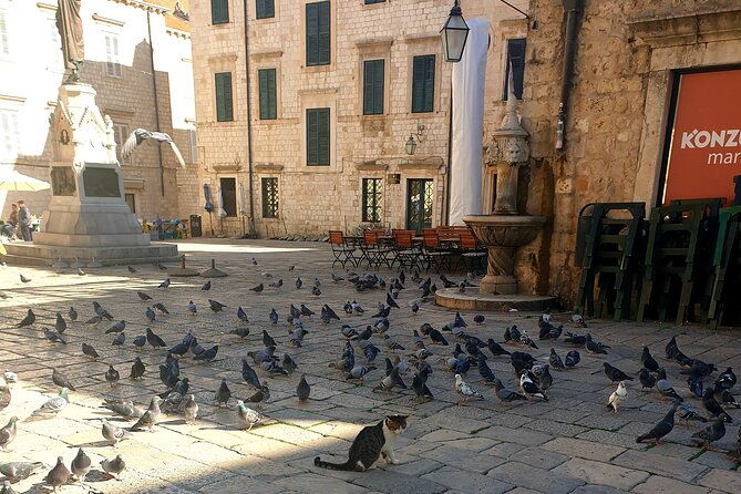 private-fort-lovrijenac-and-dubrovnik-city-tour