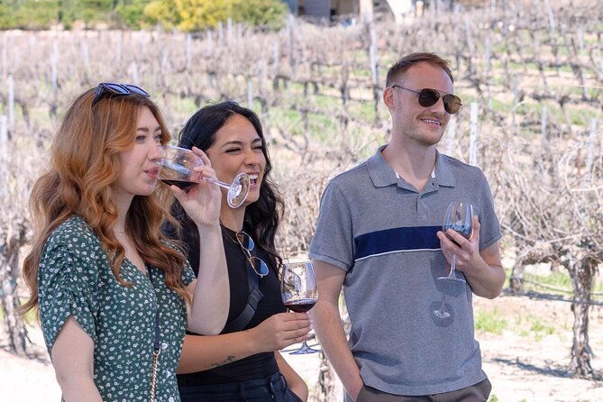 private-four-hour-wine-tasting-adventure-of-temecula-valley