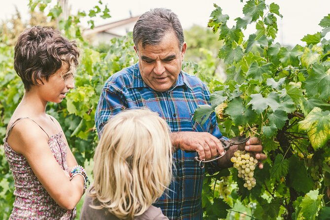 private-frascati-day-trip-with-lunch-wine-tasting-in-a-vineyard