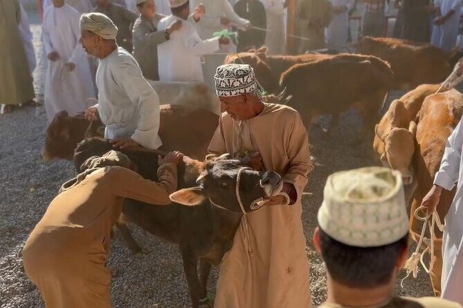 Private Friday Cattle Market-Nizwa and Jebel Akhdar-Full-Day Tour - FAQ