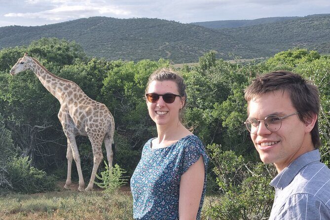Private Full-Day Addo Elephant Park & Giraffe Walk - Key Points
