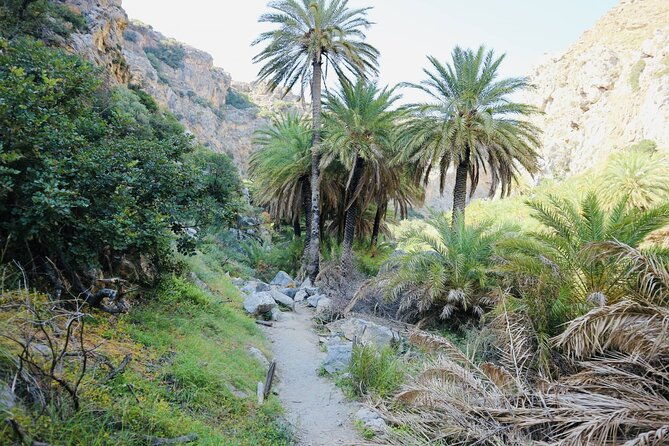 private-full-day-adventure-preveli-waterfalls-kalypso-beach