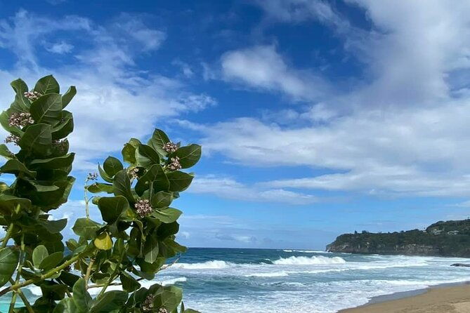 private-full-day-aguadilla-sightseeing-tour