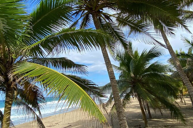 private-full-day-aguadilla-sightseeing-tour