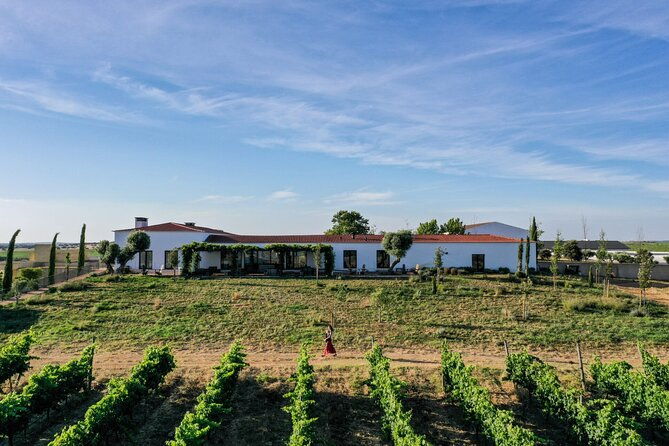 private-full-day-alentejo-wine-tour