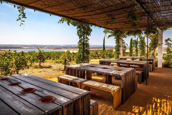 private-full-day-alentejo-wine-tour