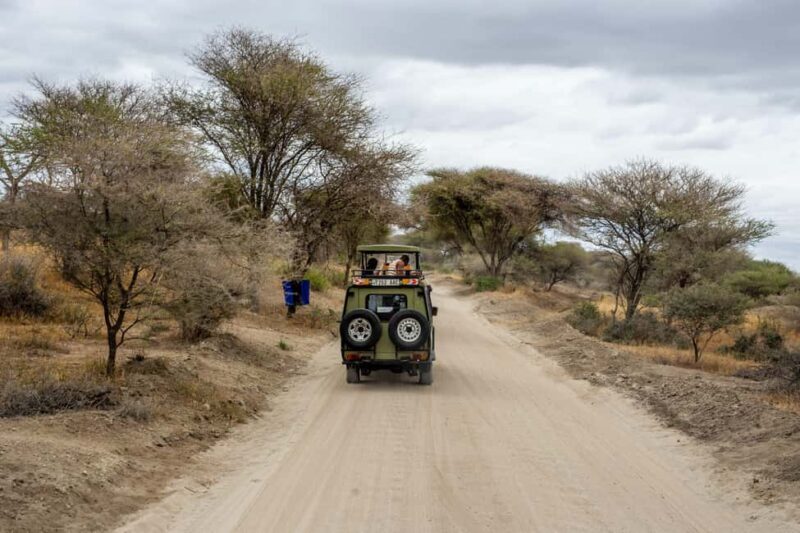Private full day Aquila Safari tour - Key Points