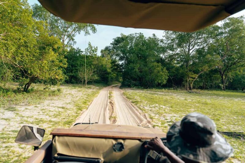 Private full day Aquila Safari tour - Why This Tour Works for You