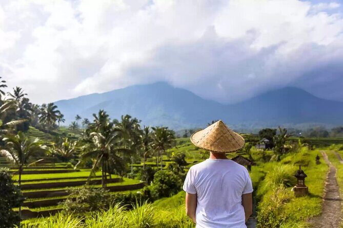 Private Full Day Bali Tour with Driver - A Deep Dive into the Tour Experience