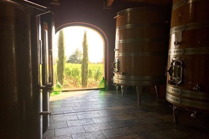 private-full-day-brunello-wine-experience-from-florence