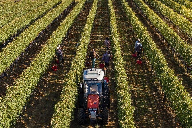 private-full-day-brunello-wine-experience-from-florence