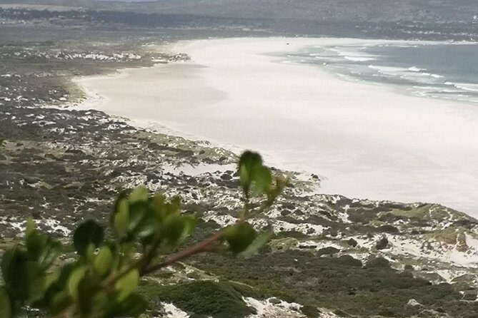 Private Full Day Cape Town City Scenic and Table Mountain Tour. - Who Would This Tour Suit Best?
