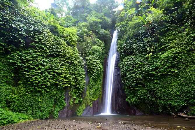 Private Full-Day Car Charter: Beauty of North Bali Tour - What We Think: Is It Worth It?