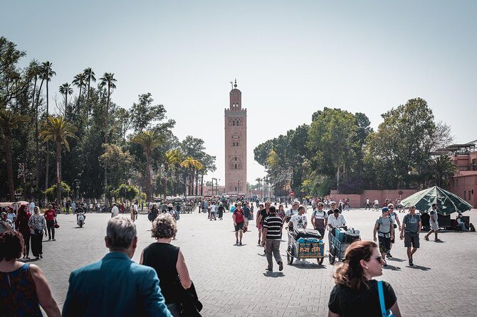 Private Full-Day Casablanca To Marrakech & camel ride - Key Points