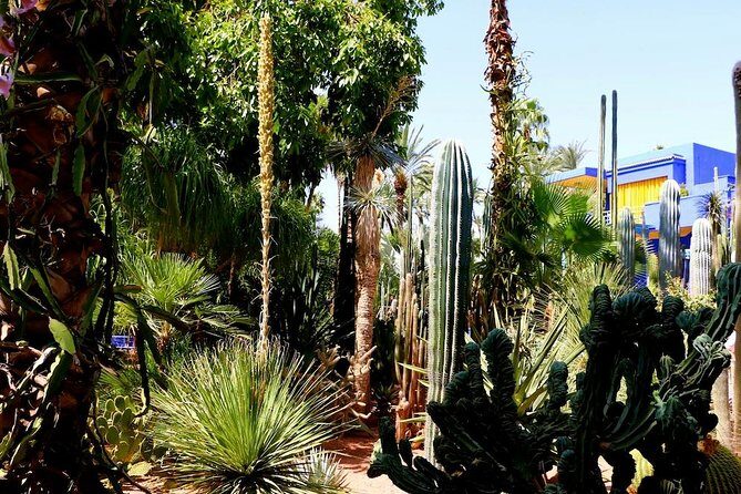 Private Full-Day Casablanca To Marrakech & camel ride - What Makes This Tour Stand Out?