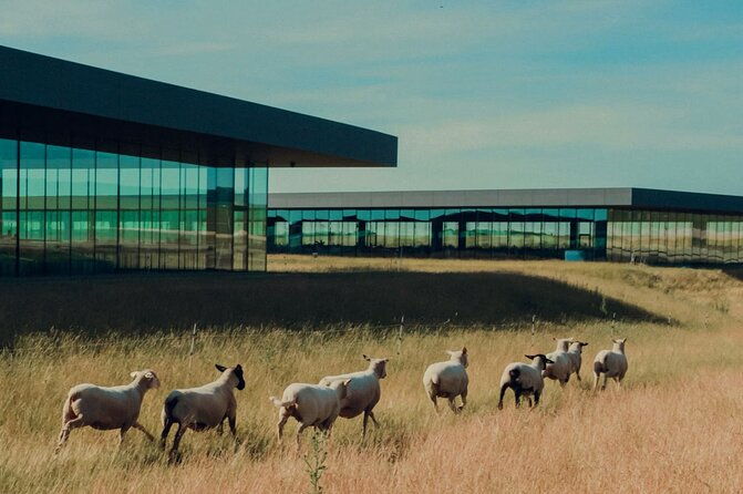 private-full-day-champagne-cellars-tour-from-your-hotel-in-paris