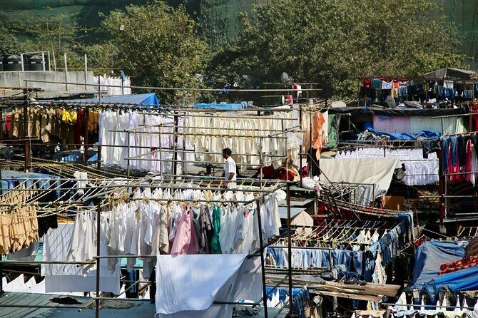 Private Full Day City Tour for Solo Travelers in Mumbai on Moped - Why This Tour Offers Real Value