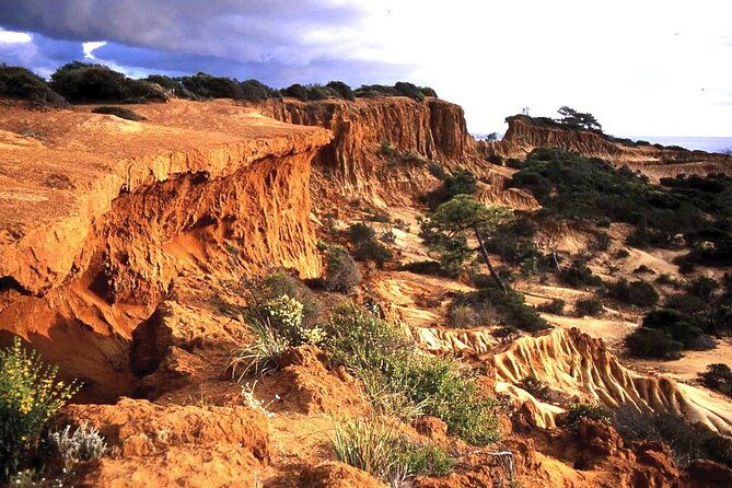 private-full-day-coastal-tour-from-san-diego-with-private-driver-guide