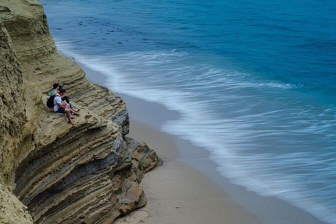 private-full-day-coastal-tour-from-san-diego-with-private-driver-guide